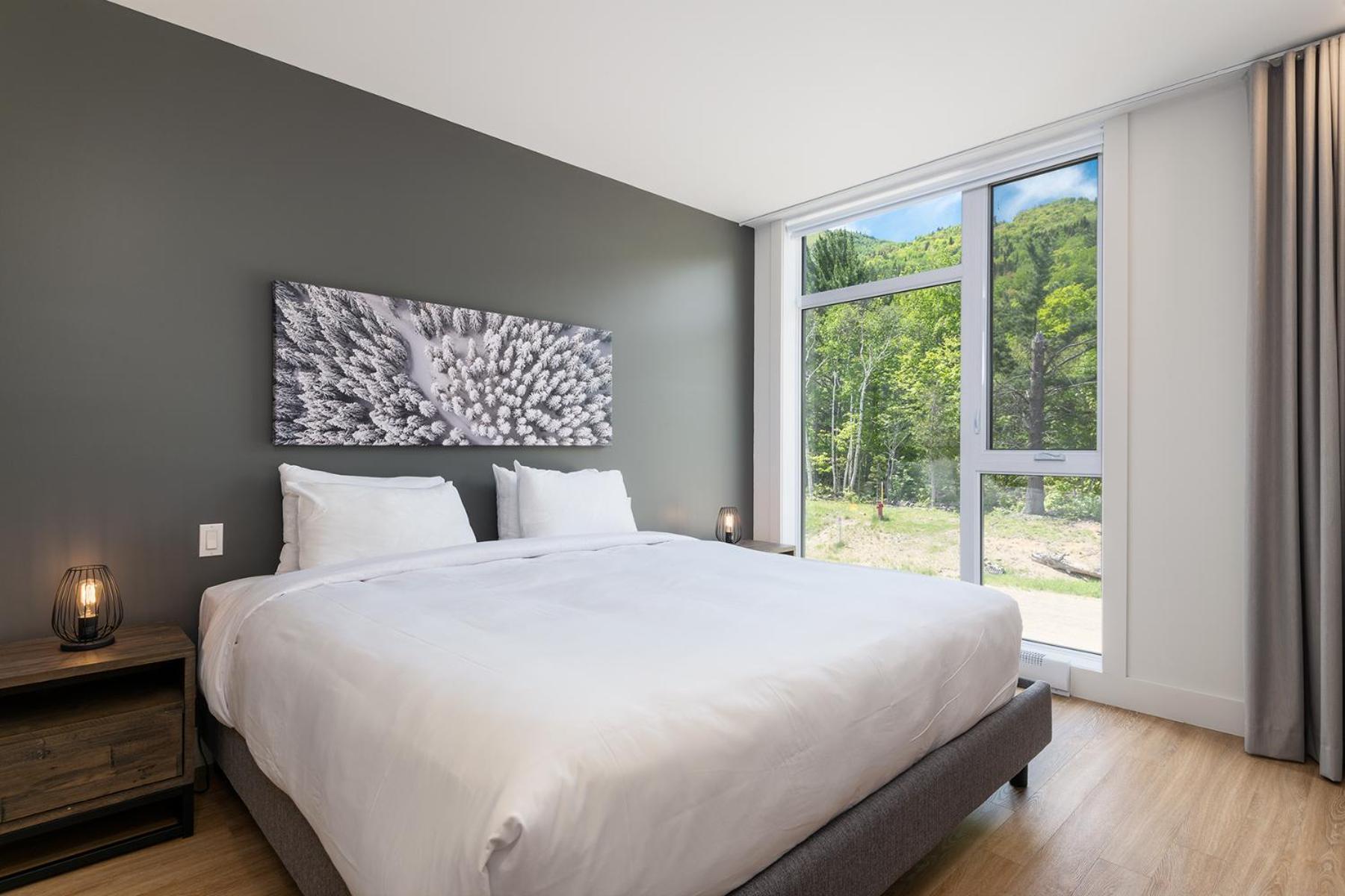 Les Appartements Du Massif De Charlevoix Петит-Ривьер-Сен-Франсуа Номер фото